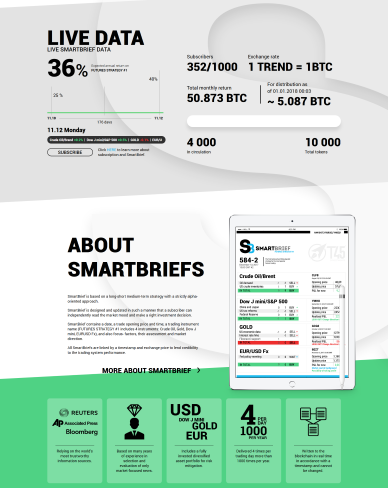 Разработка веб сайта SMARTBRIEF